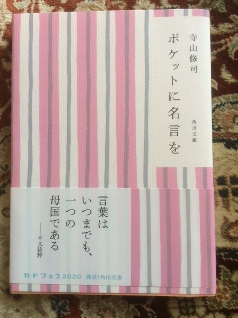 読書の夏 まこっちゃんの好奇心倶楽部